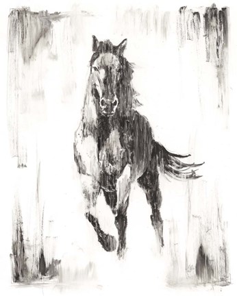 Framed Rustic Black Stallion II Print