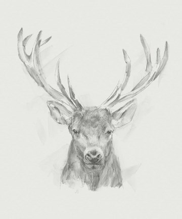 Framed Contemporary Elk Sketch II Print
