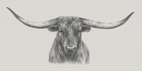 Framed Longhorn Bull Print