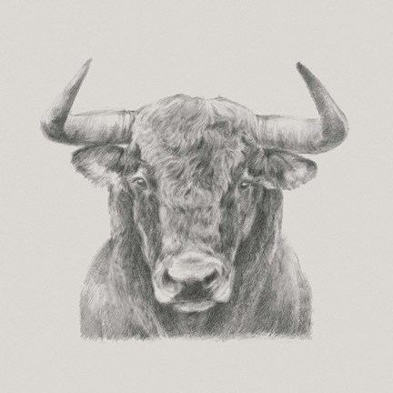 Framed Black &amp; White Bull Print