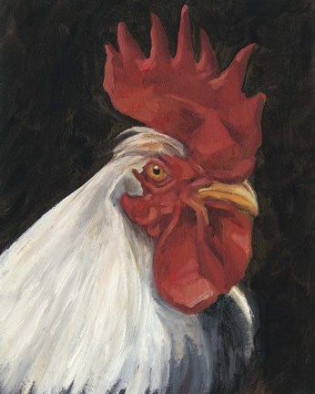 Framed Rooster Portrait I Print