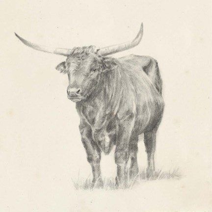 Framed Longhorn Steer Sketch I Print