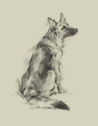 Framed Puppy Dog Eyes V Print