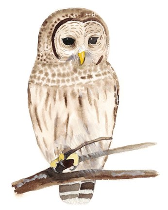 Framed Hoo Dis III Print