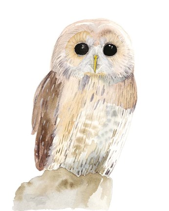 Framed Hoo Dis IV Print