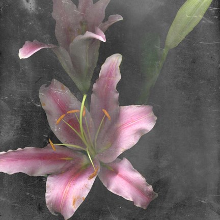 Framed Fleur de Lys I Print