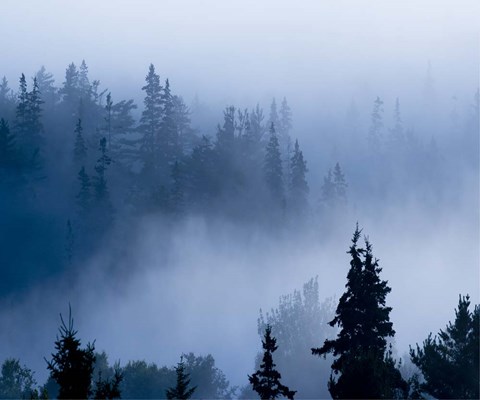 Framed Misty Mountains XV Print