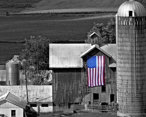 Framed Flags of Our Farmers XI Print