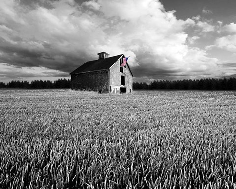 Framed Flags of Our Farmers XIII Print