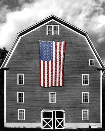 Framed Flags of Our Farmers XIX Print