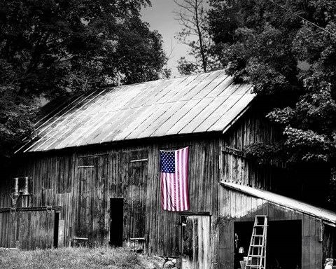 Framed Flags of Our Farmers III Print