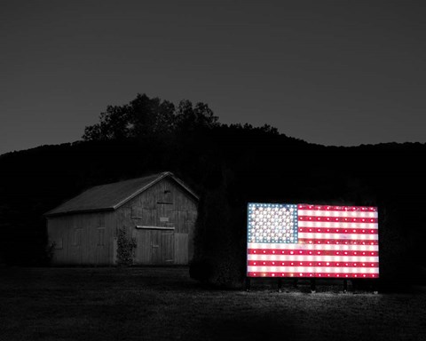 Framed Flags of Our Farmers VI Print