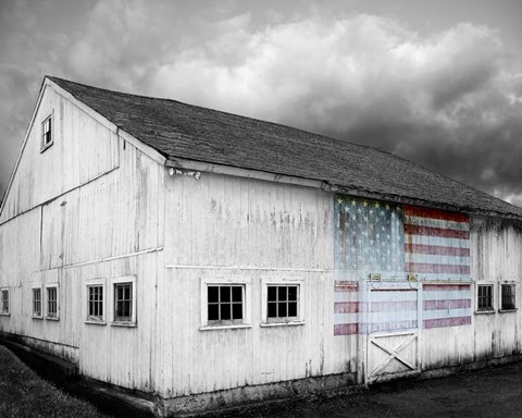 Framed Flags of Our Farmers VIII Print