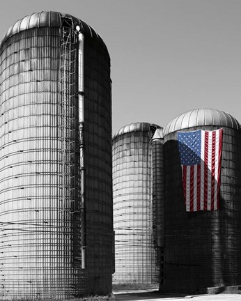 Framed Flags of Our Farmers XX Print