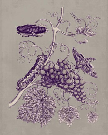 Framed Nature Study in Plum &amp; Taupe III Print