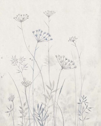 Framed Neutral Queen Anne's Lace I Print