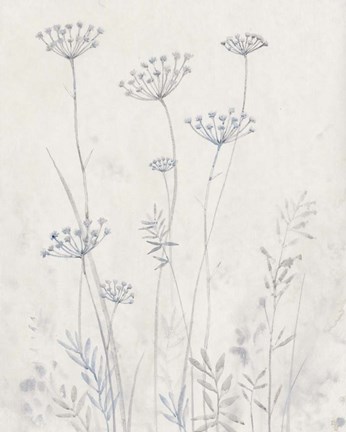 Framed Neutral Queen Anne's Lace II Print