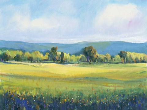 Framed Partly Cloudy I Print