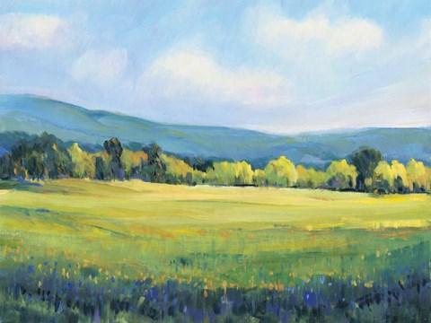 Framed Partly Cloudy II Print