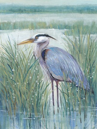 Framed Wetland Heron II Print