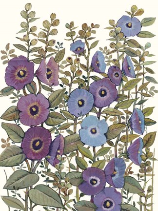 Framed Hollyhocks in Bloom I Print