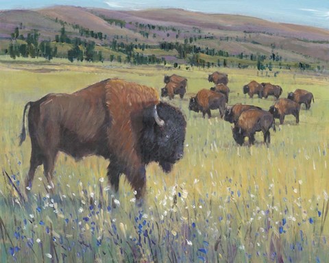 Framed Animals of the West I Print