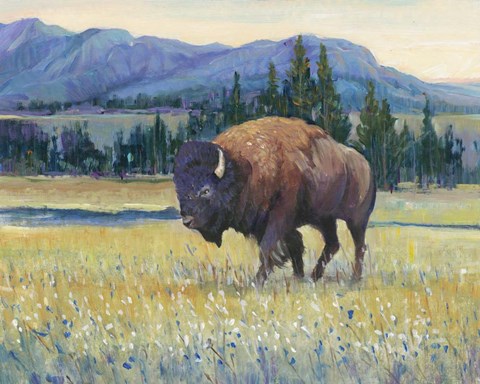 Framed Animals of the West II Print