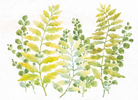 Framed Mixed Greenery I Print