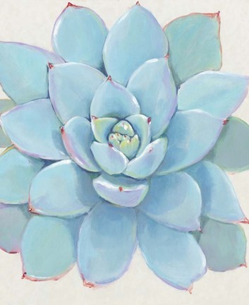 Framed Pastel Succulent I Print