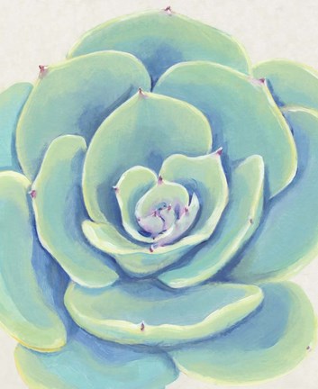 Framed Pastel Succulent IV Print