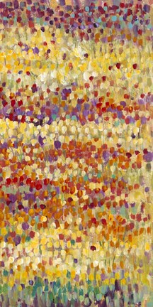 Framed Tulips in Bloom II Print