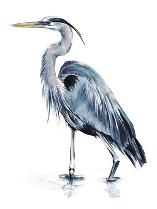 Framed Blue Blue Heron II Print