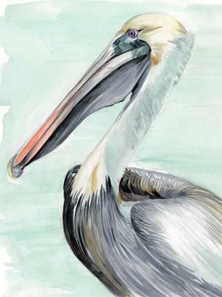 Framed Turquoise Pelican II Print