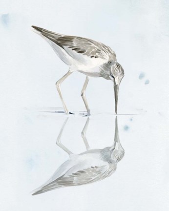 Framed Sandpiper Reflections I Print