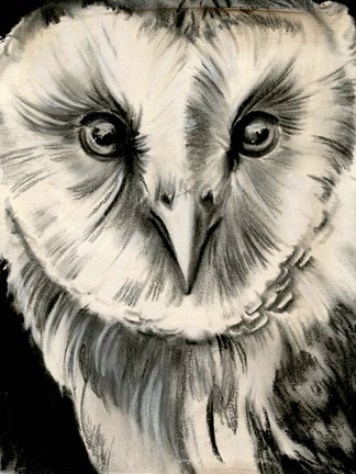 Framed Charcoal Owl II Print