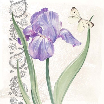 Framed Flowers &amp; Lace III Print