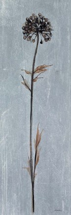 Framed Cool Botanicals I Print