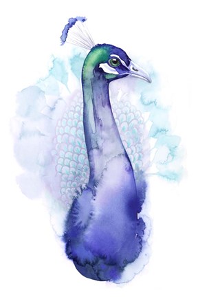 Framed Bejeweled Peacock I Print