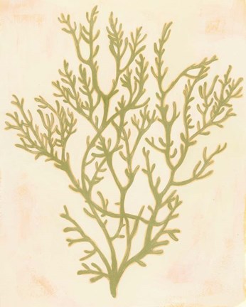 Framed Deep Sea Coral I Print