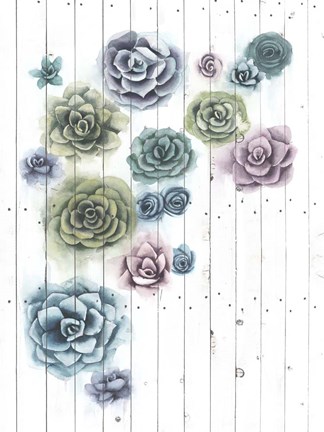 Framed Shiplap Succulent Cluster II Print
