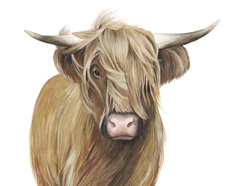 Framed Highland Cattle I Print