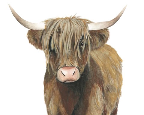 Framed Highland Cattle II Print