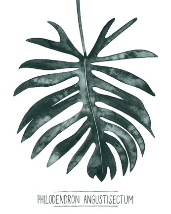 Framed Gemstone Tropicale I Print