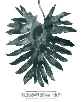 Framed Gemstone Tropicale IV Print