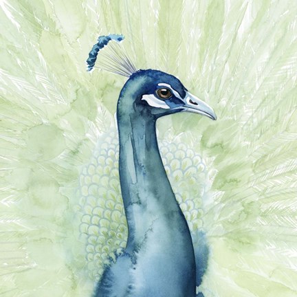 Framed Lucent Plume I Print