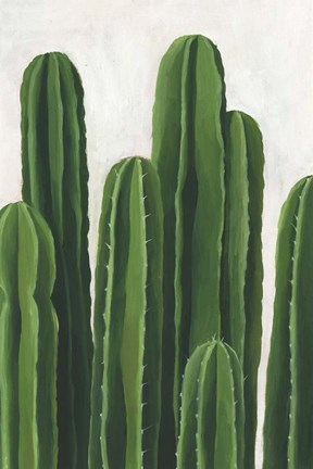 Framed Pura Vida III Print