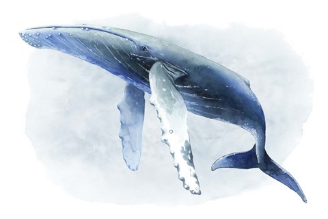 Framed Watercolor Humpback II Print