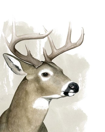 Framed Timberland Friend I Print