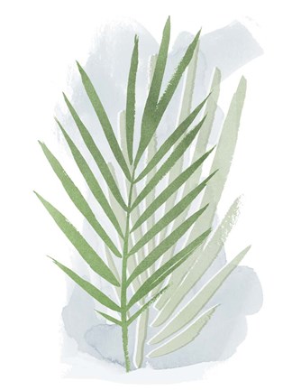 Framed Palm Overlay I Print