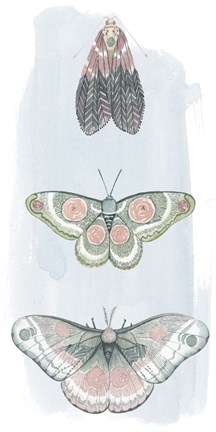 Framed Jeweled Fairies I Print